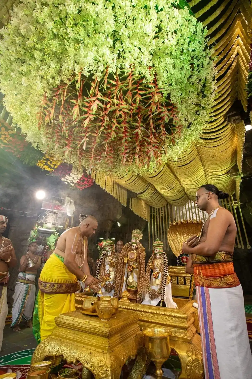 WhatsApp Image 2023-09-20 at 11.49.49