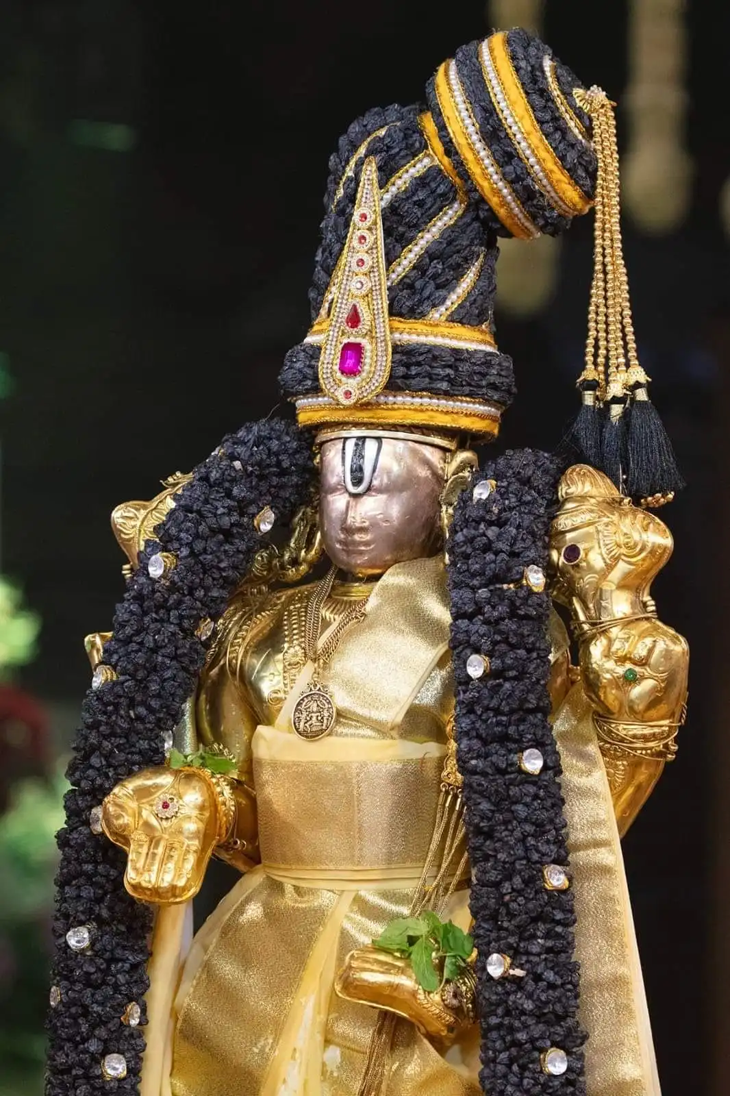 WhatsApp Image 2023-09-20 at 11.49.50