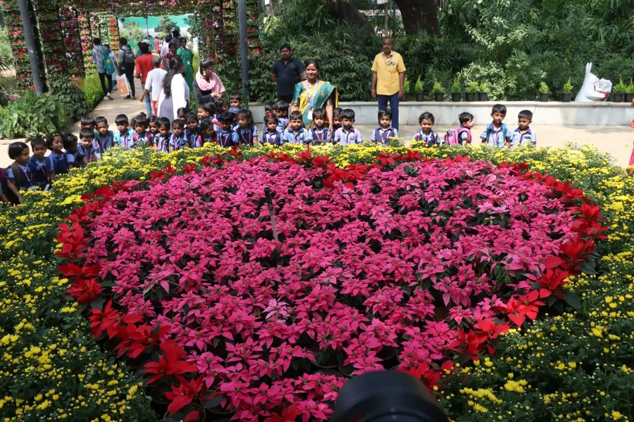 WhatsApp Image 2024-02-10 at 13.17.45_787c2a81